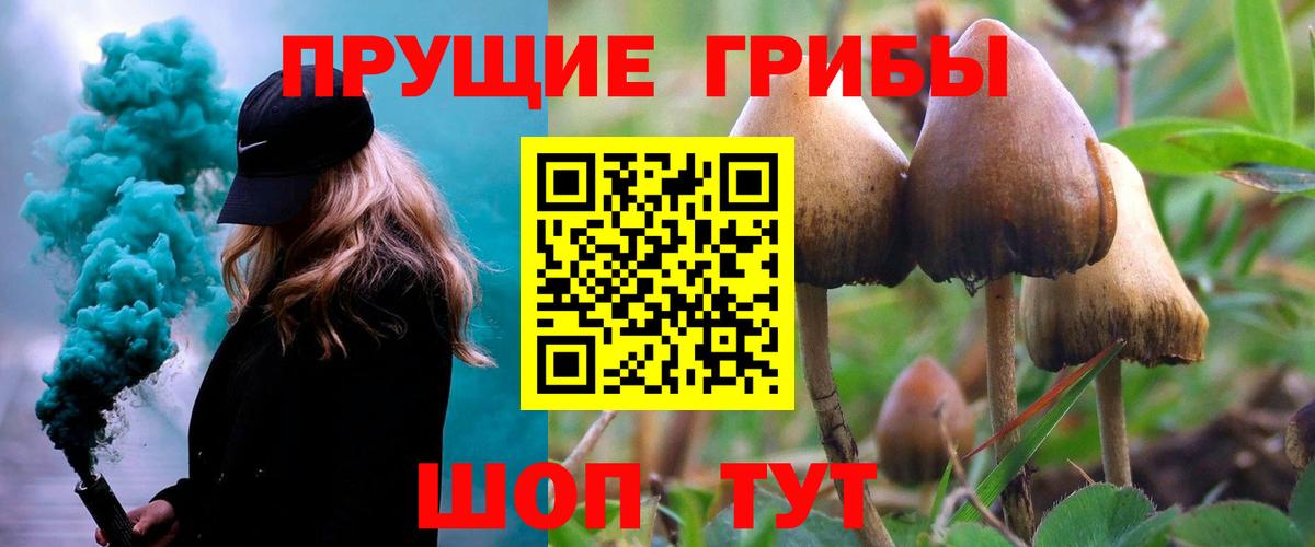 Псилоцибиновые грибы мухоморы  Вход с VPN  Стрежевой 