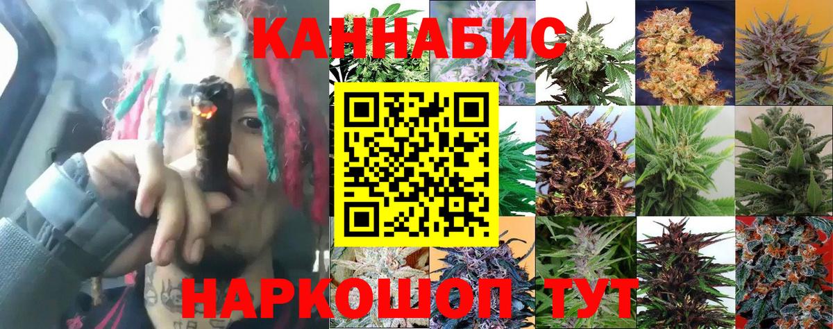 Бошки марихуана план  Бошки марихуана Ganja  Стрежевой  Вход с VPN 